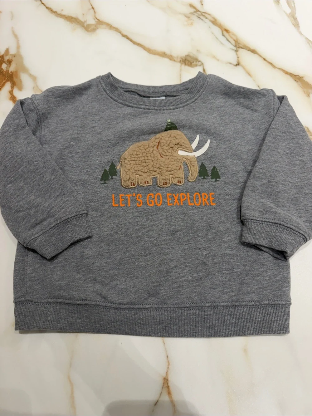 Carter's Gray Mammoth 'Let's Go Explore' Pullover Sweatshirt 2T